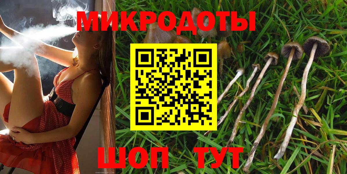 Псилоцибиновые грибы мицелий Мариинск