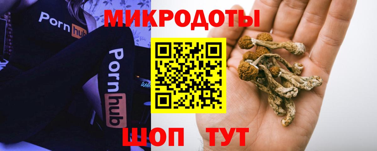 Псилоцибиновые грибы прущие грибы  Вход с VPN  Мариинск 